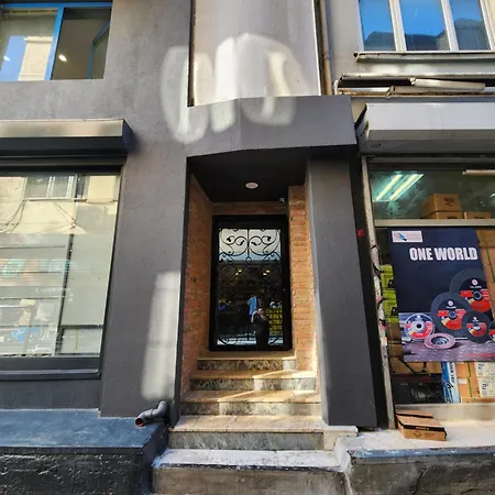酒店 Karakoey In Karakoey 伊斯坦布尔