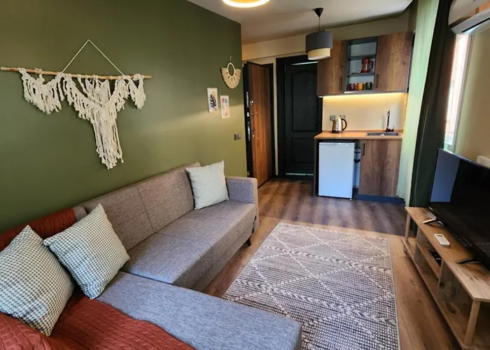 Karakoey In Karakoey * Stambuł